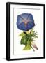 Black Frame