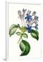 Gramercy White