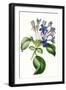 Black Frame