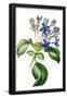 Essential Black