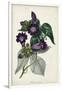 Gramercy White