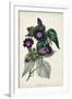 Gramercy White
