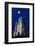 Paxtons Tower, Llanarthne, Carmarthenshire, Wales, United Kingdom, Europe-Billy Stock-Framed Photographic Print