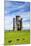 Paxtons Tower, Llanarthne, Carmarthenshire, Wales, United Kingdom, Europe-Billy Stock-Mounted Photographic Print