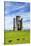 Paxtons Tower, Llanarthne, Carmarthenshire, Wales, United Kingdom, Europe-Billy Stock-Stretched Canvas