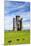 Paxtons Tower, Llanarthne, Carmarthenshire, Wales, United Kingdom, Europe-Billy Stock-Mounted Premium Photographic Print