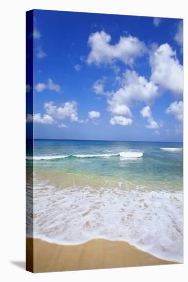Paynes Bay, Barbados, Caribbean-Hans Peter Merten-Stretched Canvas