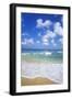 Paynes Bay, Barbados, Caribbean-Hans Peter Merten-Framed Premium Photographic Print