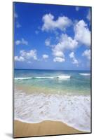 Paynes Bay, Barbados, Caribbean-Hans Peter Merten-Mounted Photographic Print