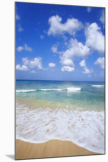 Paynes Bay, Barbados, Caribbean-Hans Peter Merten-Mounted Photographic Print