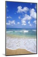 Paynes Bay, Barbados, Caribbean-Hans Peter Merten-Mounted Photographic Print