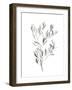 Paynes Grey Botanicals IV-Emma Scarvey-Framed Art Print