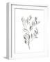 Paynes Grey Botanicals IV-Emma Scarvey-Framed Art Print