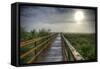 Paynes Prairie State Preserve, Florida: a View of the Prairie During Sunrise-Brad Beck-Framed Stretched Canvas