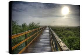 Paynes Prairie State Preserve, Florida: a View of the Prairie During Sunrise-Brad Beck-Stretched Canvas