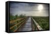 Paynes Prairie State Preserve, Florida: a View of the Prairie During Sunrise-Brad Beck-Framed Stretched Canvas