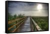 Paynes Prairie State Preserve, Florida: a View of the Prairie During Sunrise-Brad Beck-Framed Stretched Canvas