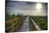 Paynes Prairie State Preserve, Florida: a View of the Prairie During Sunrise-Brad Beck-Stretched Canvas