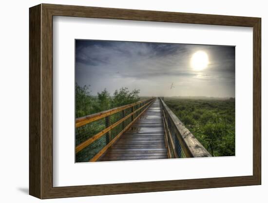 Paynes Prairie State Preserve, Florida: a View of the Prairie During Sunrise-Brad Beck-Framed Photographic Print