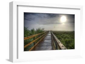 Paynes Prairie State Preserve, Florida: a View of the Prairie During Sunrise-Brad Beck-Framed Photographic Print