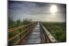 Paynes Prairie State Preserve, Florida: a View of the Prairie During Sunrise-Brad Beck-Mounted Photographic Print