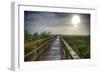 Paynes Prairie State Preserve, Florida: a View of the Prairie During Sunrise-Brad Beck-Framed Photographic Print