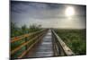 Paynes Prairie State Preserve, Florida: a View of the Prairie During Sunrise-Brad Beck-Mounted Photographic Print