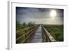 Paynes Prairie State Preserve, Florida: a View of the Prairie During Sunrise-Brad Beck-Framed Photographic Print