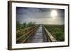 Paynes Prairie State Preserve, Florida: a View of the Prairie During Sunrise-Brad Beck-Framed Photographic Print