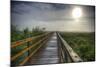 Paynes Prairie State Preserve, Florida: a View of the Prairie During Sunrise-Brad Beck-Mounted Photographic Print