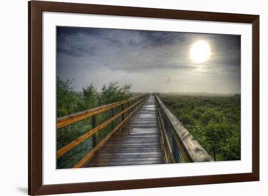 Paynes Prairie State Preserve, Florida: a View of the Prairie During Sunrise-Brad Beck-Framed Photographic Print