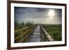 Paynes Prairie State Preserve, Florida: a View of the Prairie During Sunrise-Brad Beck-Framed Photographic Print