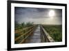 Paynes Prairie State Preserve, Florida: a View of the Prairie During Sunrise-Brad Beck-Framed Photographic Print