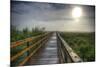 Paynes Prairie State Preserve, Florida: a View of the Prairie During Sunrise-Brad Beck-Mounted Photographic Print