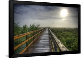 Paynes Prairie State Preserve, Florida: a View of the Prairie During Sunrise-Brad Beck-Framed Photographic Print