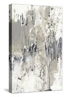 Paynes Splash II-Jennifer Goldberger-Stretched Canvas