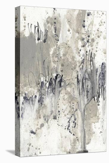 Paynes Splash II-Jennifer Goldberger-Stretched Canvas