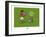 Pays B. - Boules basques-Sylvain Bichicchi-Framed Art Print