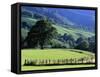 Pays Basques Countryside-Owen Franken-Framed Stretched Canvas