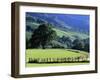 Pays Basques Countryside-Owen Franken-Framed Photographic Print