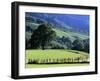 Pays Basques Countryside-Owen Franken-Framed Photographic Print