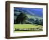 Pays Basques Countryside-Owen Franken-Framed Photographic Print