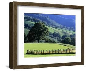 Pays Basques Countryside-Owen Franken-Framed Photographic Print