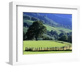 Pays Basques Countryside-Owen Franken-Framed Photographic Print