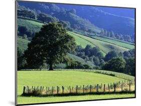 Pays Basques Countryside-Owen Franken-Mounted Photographic Print