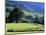 Pays Basques Countryside-Owen Franken-Mounted Photographic Print