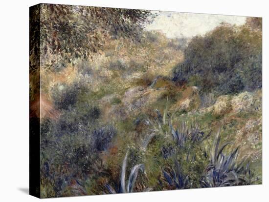 Paysage algérien, le ravin de la Femme Sauvage (faubourg d'Alger)-Pierre-Auguste Renoir-Stretched Canvas