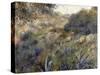 Paysage algérien, le ravin de la Femme Sauvage (faubourg d'Alger)-Pierre-Auguste Renoir-Stretched Canvas