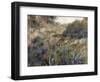 Paysage algérien, le ravin de la Femme Sauvage (faubourg d'Alger)-Pierre-Auguste Renoir-Framed Giclee Print