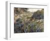Paysage algérien, le ravin de la Femme Sauvage (faubourg d'Alger)-Pierre-Auguste Renoir-Framed Giclee Print